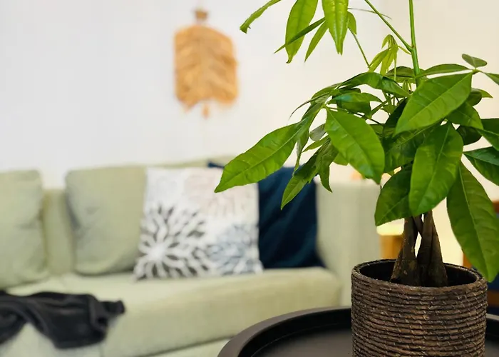 Sofitaki 아파트 아르고스톨리온